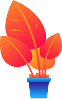 webmehr-flower-top